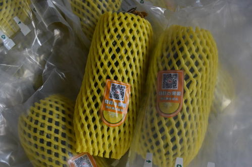 全市農(nóng)產(chǎn)品質(zhì)量安全暨食用農(nóng)產(chǎn)品合格證推進(jìn)現(xiàn)場(chǎng)會(huì)在桃園鎮(zhèn)召開(kāi)